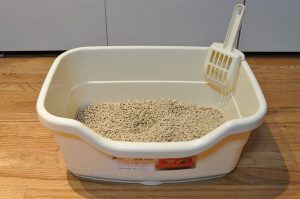 پخش شدن خاک گربه
