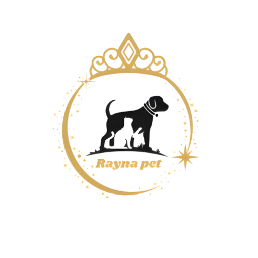 فروشگاه رایناپت