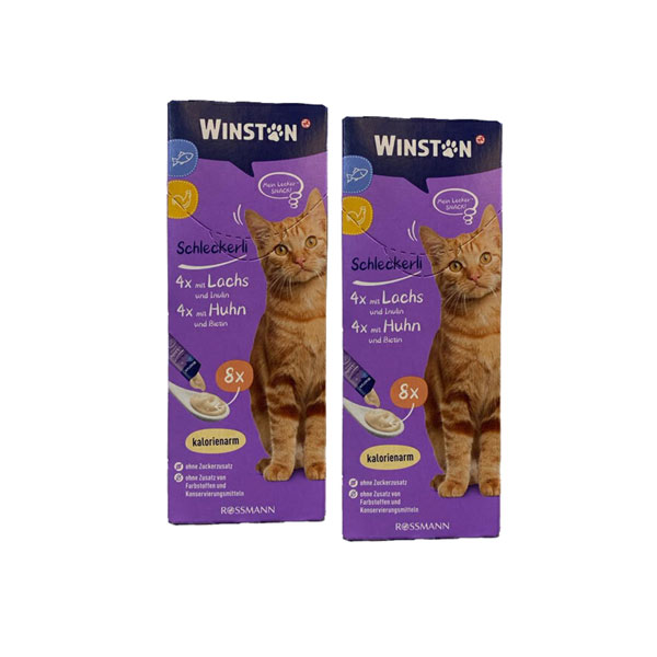 بستنی گربه وینستون Winstone