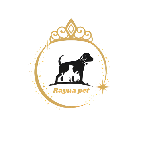 فروشگاه رایناپت