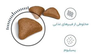 بررسی غذای خشک رویال کنین مدل hairball